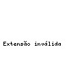 Em Linha com......Paulo Cunha Martins